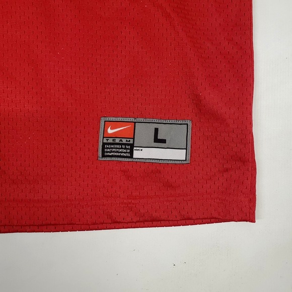 Vintage Nike Warrick Dunn #28 Tampa Bay Buccaneers Jersey Large - Picture 3 of 11